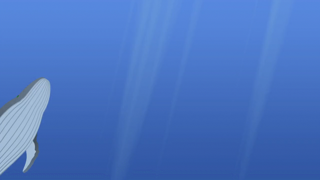 whale_open